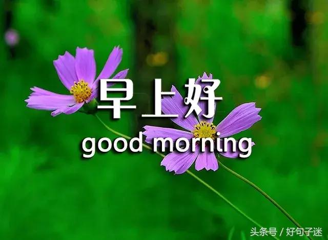 早上好周末愉快祝福语带图片,适合发朋友圈的早安语录