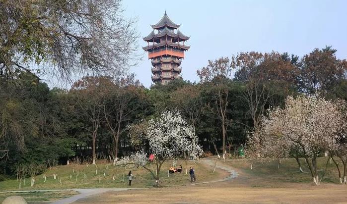 塔子山公园,位于成都市中心偏东部,园内林木葱郁,地势