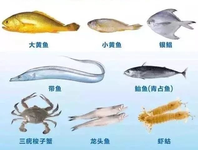 禁渔期即将来临!你们关心的2018休渔安排出炉