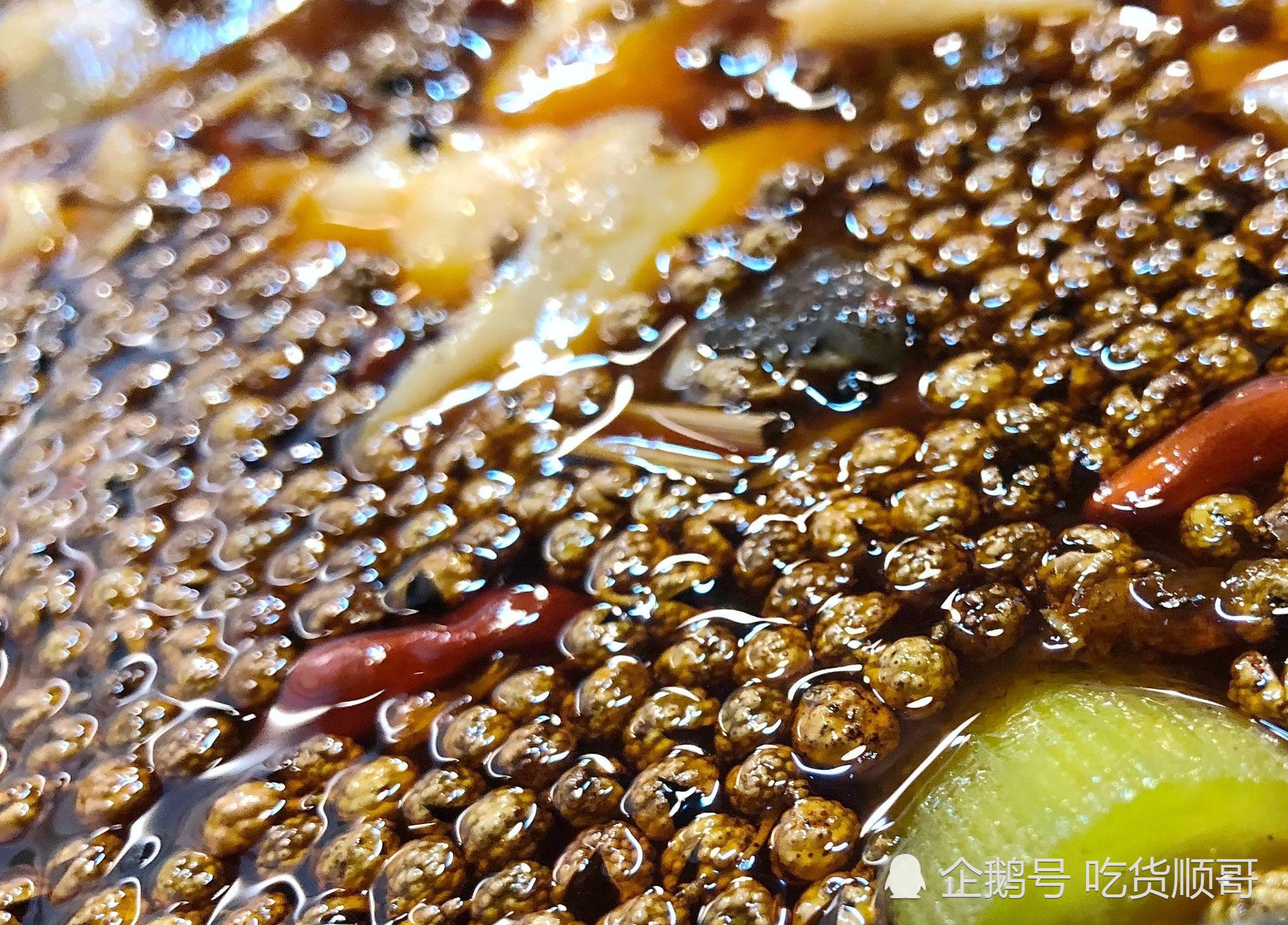 重庆风味的椒麻鱼,麻得你嘴皮不晓得辣