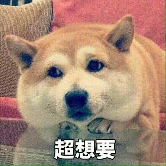 柴犬表情合集炮炮兵手机表情包图片
