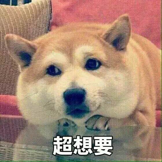 柴犬表情包合集