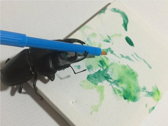 活久见,屎壳郎当宠物养,屎壳郎画一幅画价值2