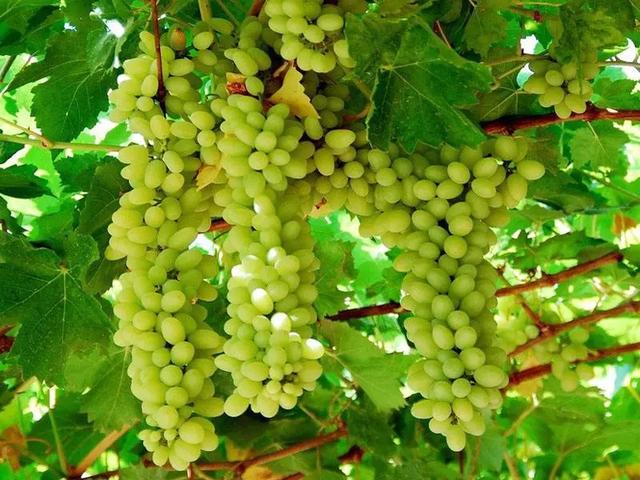 2018年新疆环线旅游路线推荐