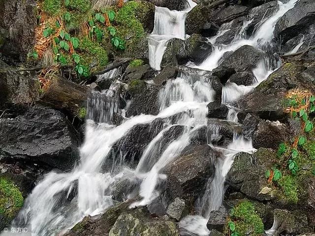 中国人口最多的县市, 安徽三县广东广西各两, 江