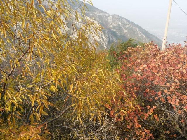 听课收获:思维是核心,创造是目的,自学是根本!