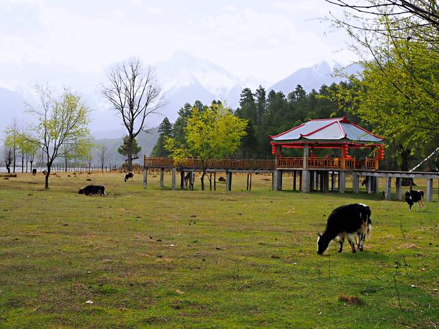 藏线包车经历总结,这个十天行程很完美