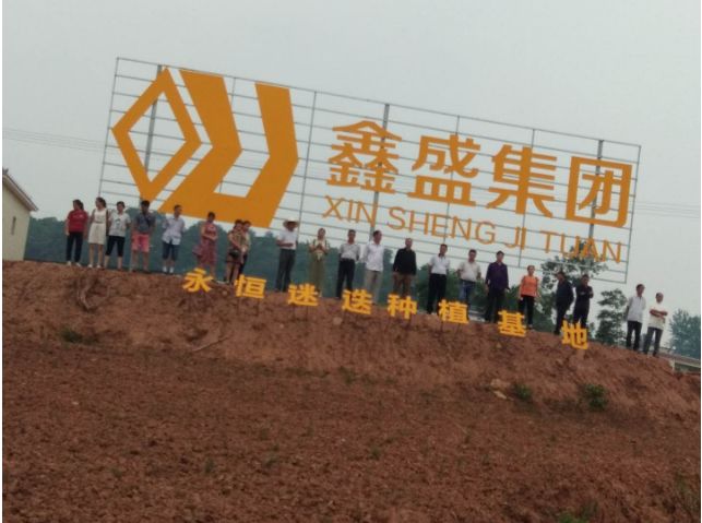 泸州首个迷迭香种植基地就在这儿! 泸州首个迷迭香种植基地就在这儿!