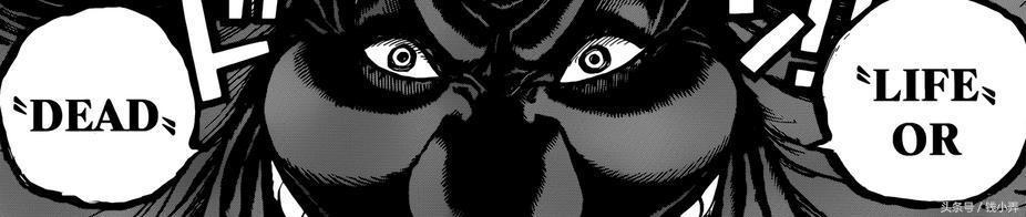 海贼王漫画903话汉化版全集:草帽团逃离世界会议篇开启!