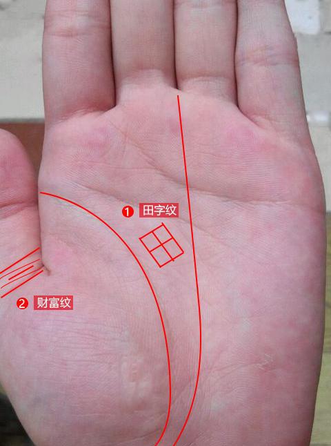 手相上有守财纹