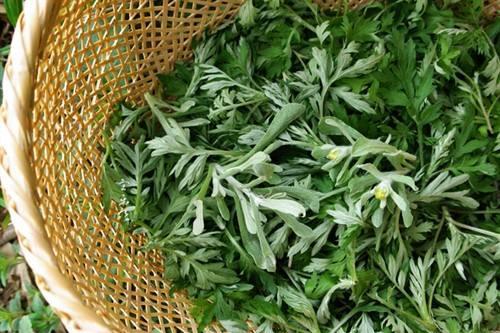 老人孩子常过敏,都是床垫里的螨虫在作怪!一个