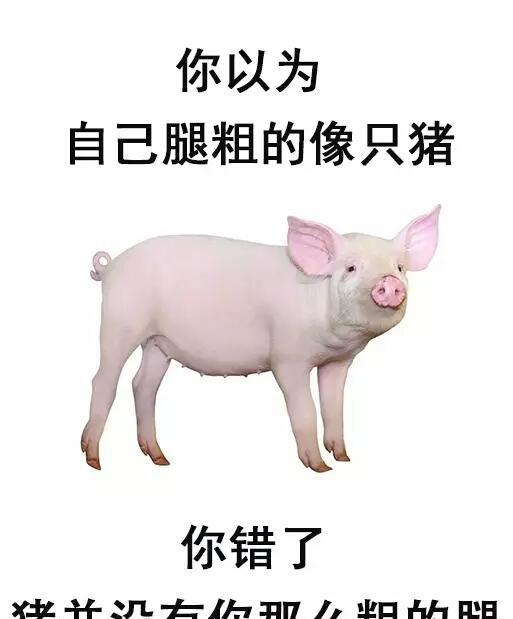 搞笑趣图:人生九大错觉,你中几个?