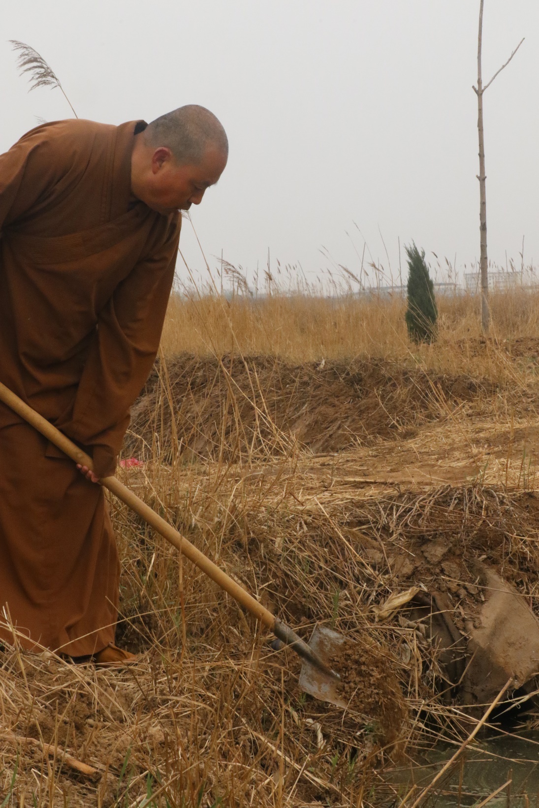 延参法师:生活是什么,生活的意义又何在,为生活