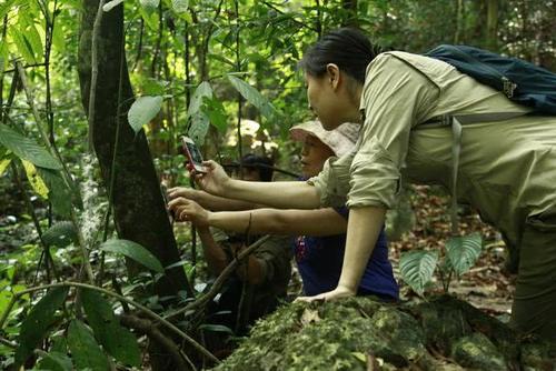 中国最美森林,号称东方亚马逊,就在云南,你知