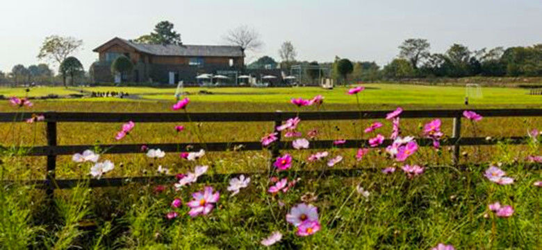 相约桃花驿:中国孝感(卓尔小镇)桃花文化旅游节