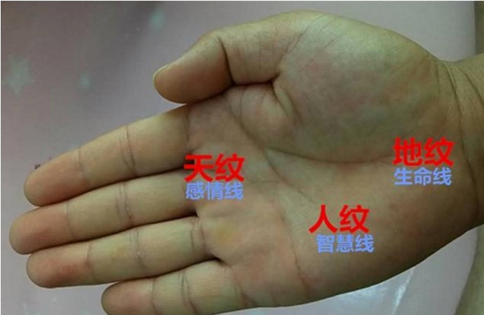 不论男女，手相出现“天纹”解析，人中龙凤，迟早名利双收！