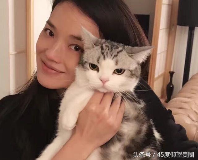 14位香港明星今年购豪宅,缴税都要2000万,他们