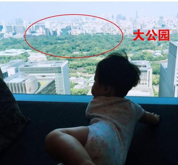 陈赫上海豪宅曝光 和王思聪同小区 商业报价达