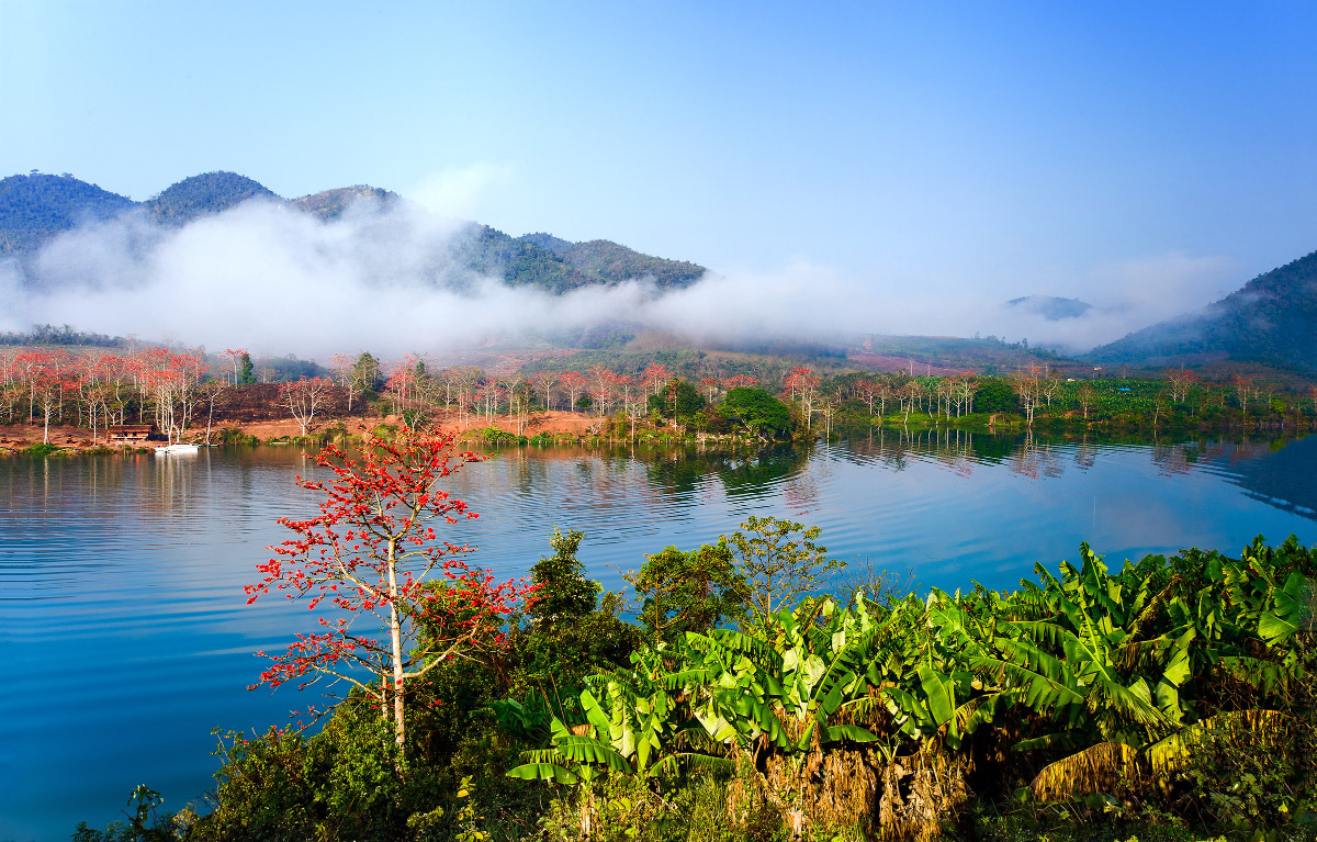 海南西部沿海的美丽古城昌江,这里是最具人气的赏木棉