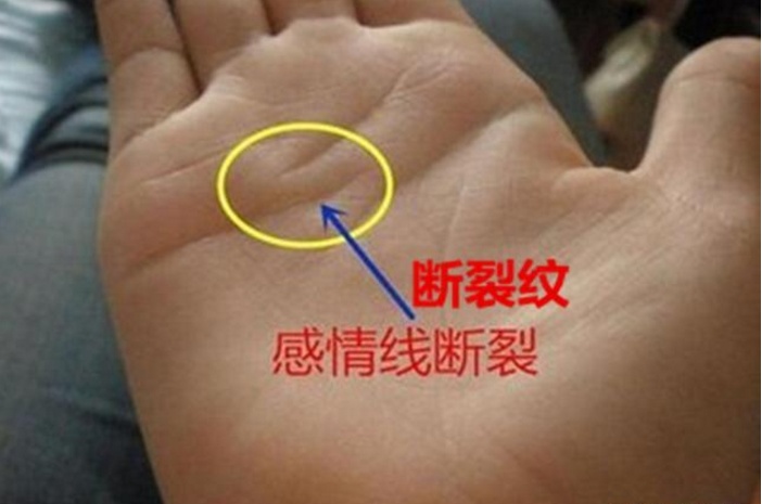 不论男女，手相出现“天纹”解析，人中龙凤，迟早名利双收！