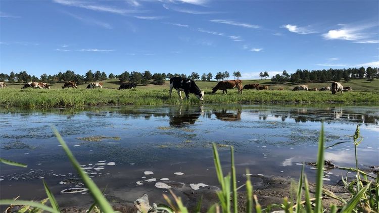 中国最大的城市:相当16个北京,41个上海,你知道