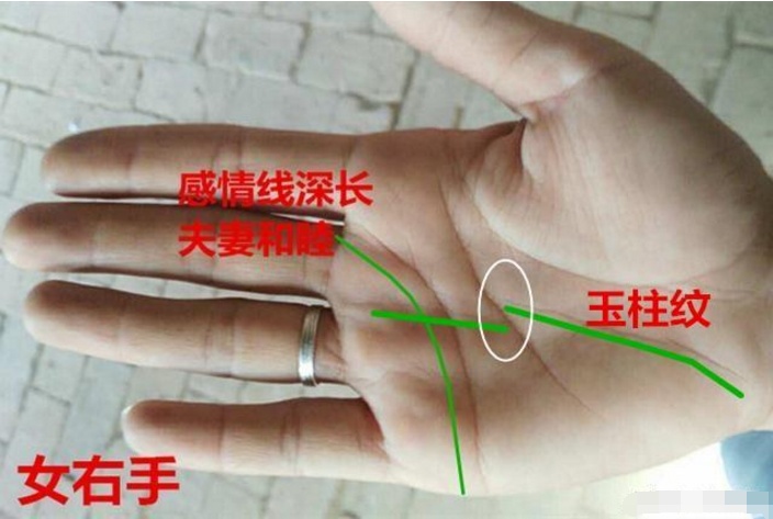 不论男女，手相出现“天纹”解析，人中龙凤，迟早名利双收！