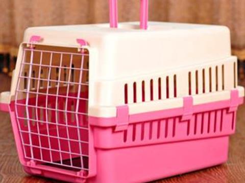 猫咪吃了猫砂吐白泡泡,猫吃猫砂怎么办