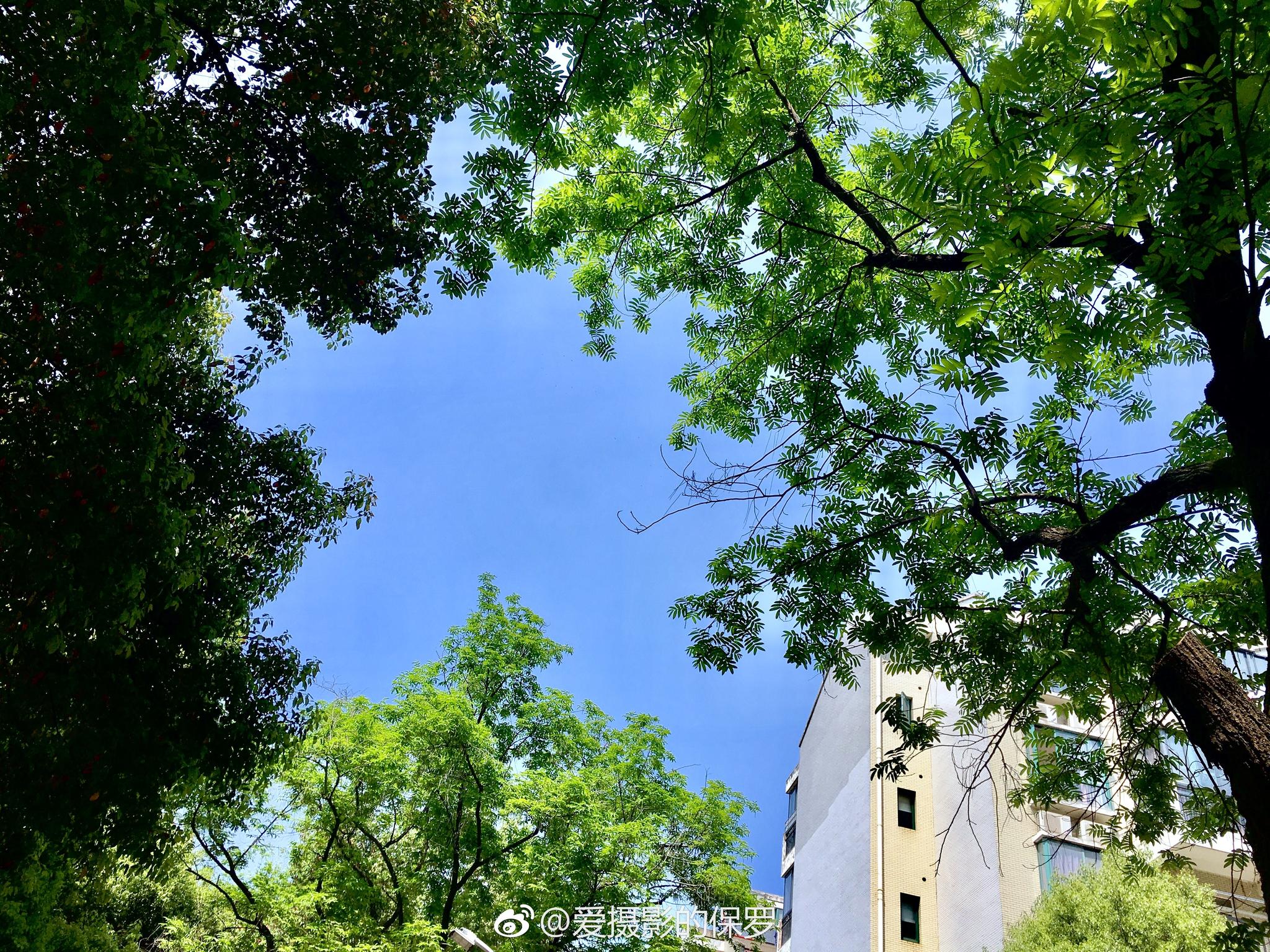 小景摄影·阳光灿烂