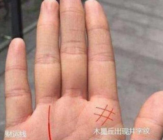 食指代表一个人的进取心以及魄力,因此当井字纹出现在其下面时,则