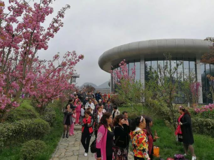 遵义旅游——大交通助推假日旅游效果明显230万余人清明游遵义 遵义旅游——大交通助推假日旅游效果明显230万余人清明游遵义