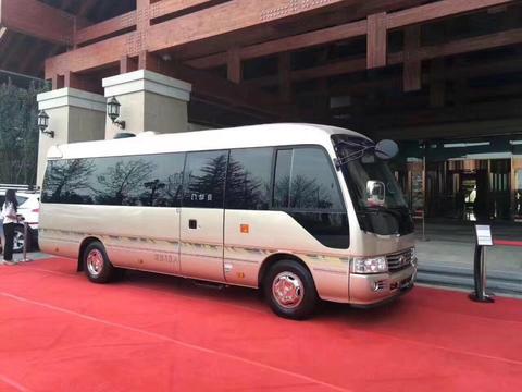 唯一叫板埃尔法车，10座丰田考斯特，领导出行标配，打开车门秒懂