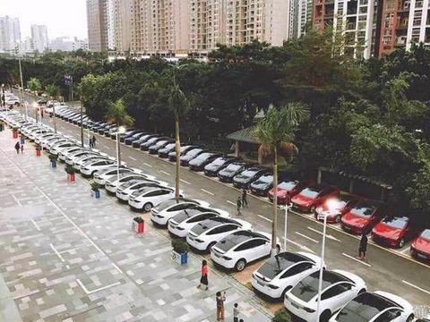 买特斯拉和买一般的车有什么区别？网友道：不能砍价！