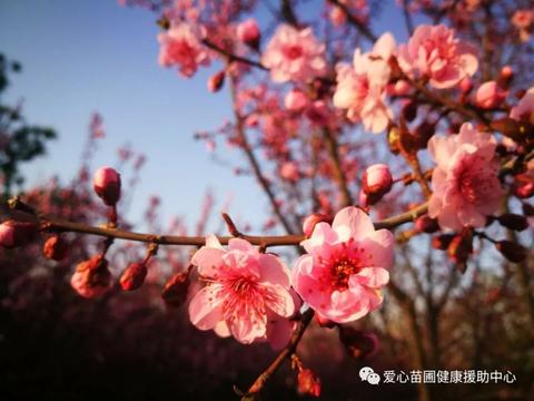 俯首“血雨腥风”，抬头“人间四月天”