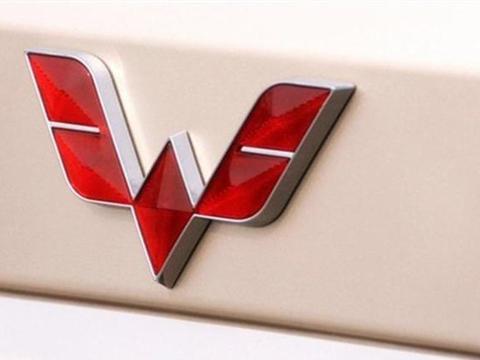 这4个品牌表面上是国产车，其实是合资车，把大家都骗了！