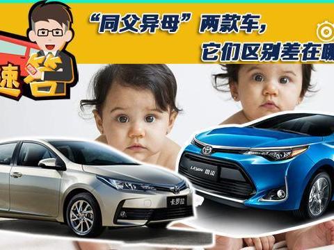 “同父异母”两款车，它们区别差在哪里？