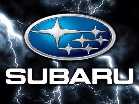 对不起，我不跟你们拼颜值！全新森林人如是说