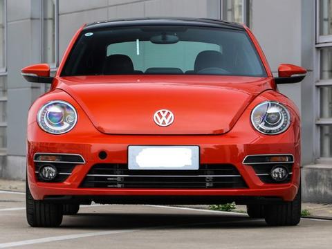 虫子虽小但就是它的萌宠让人着迷