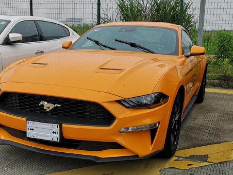 降税后 福特野马多少钱？|网友神评论