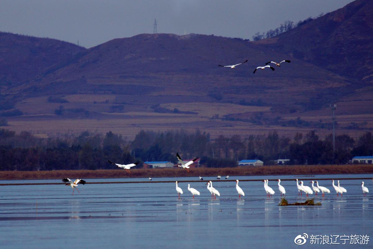 九, 沈阳法库獾子洞湿地公园