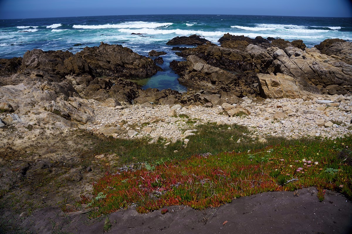 Sony 24-105mm F4 G OSS 美国西海岸旅拍