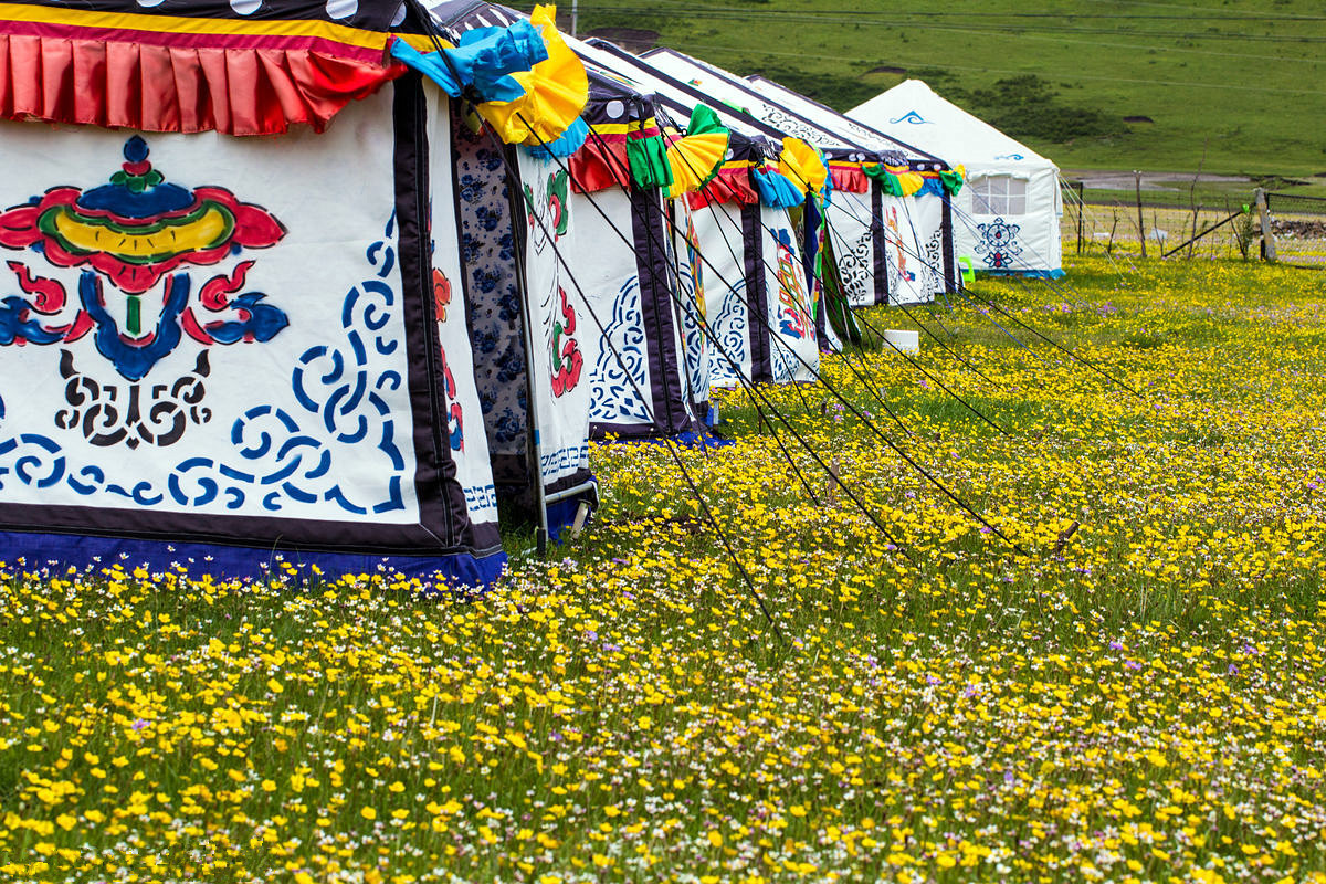 藏区神秘的白帐篷切莫进入 否则付出沉重代价