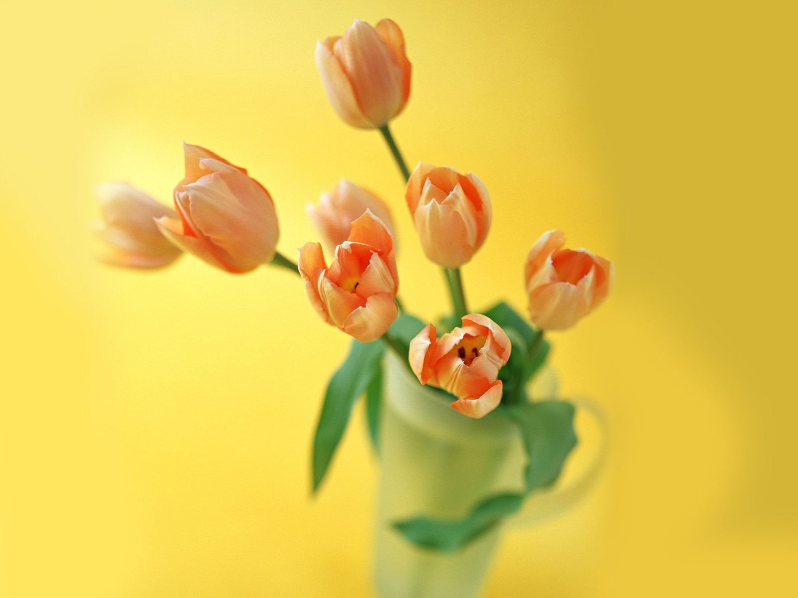 中南大学6人入选2017年度长江学者奖励计划