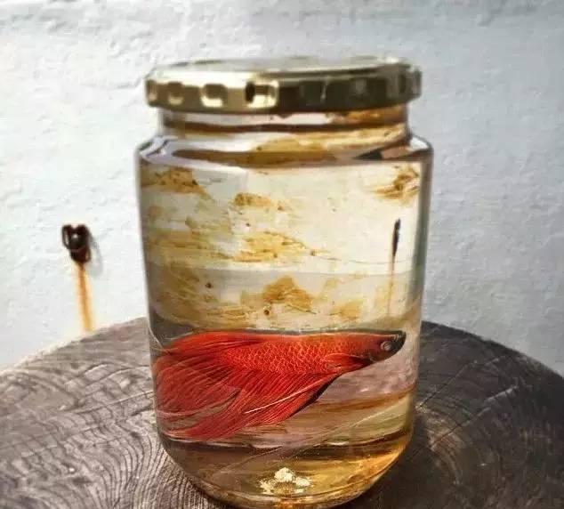 树脂绘画：他们画出的鱼很真实，真实到可以欺骗你的眼睛！