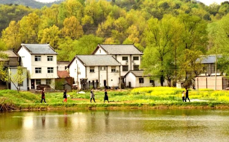 中国村庄,河南省,信阳市,郝堂村,中国最美村庄!!!