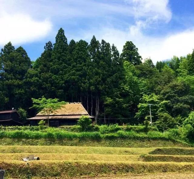 探访优美的田园景色,淳朴的民风日本乡村(内附游玩攻略!