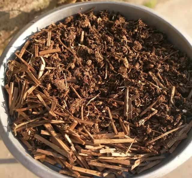 大娘巾妇科药丸闻名海内外,制作过程终于曝光