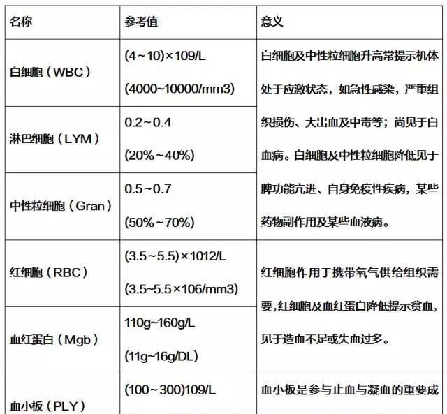 血常规的重要性 你也要会看