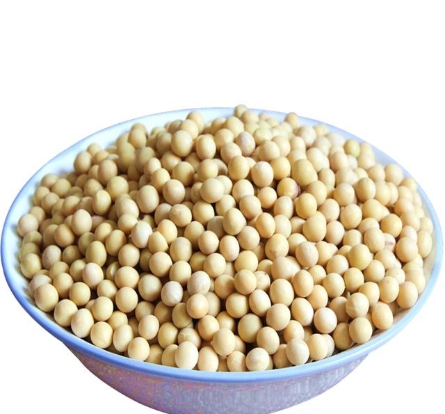 黑枸杞泡水喝的四大禁忌和3个绝妙的搭配,你知