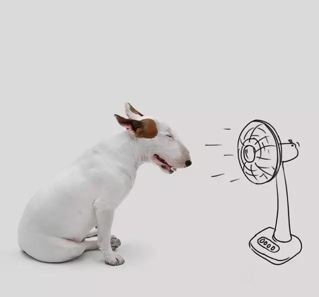 最逗比最搞笑的签名句子,句句诙谐幽默,拿去发