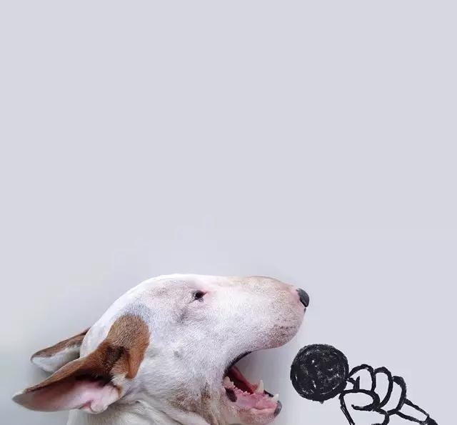 最逗比最搞笑的签名句子,句句诙谐幽默,拿去发